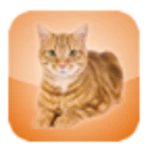 Logo of Cat Screen Cleaner android Application 